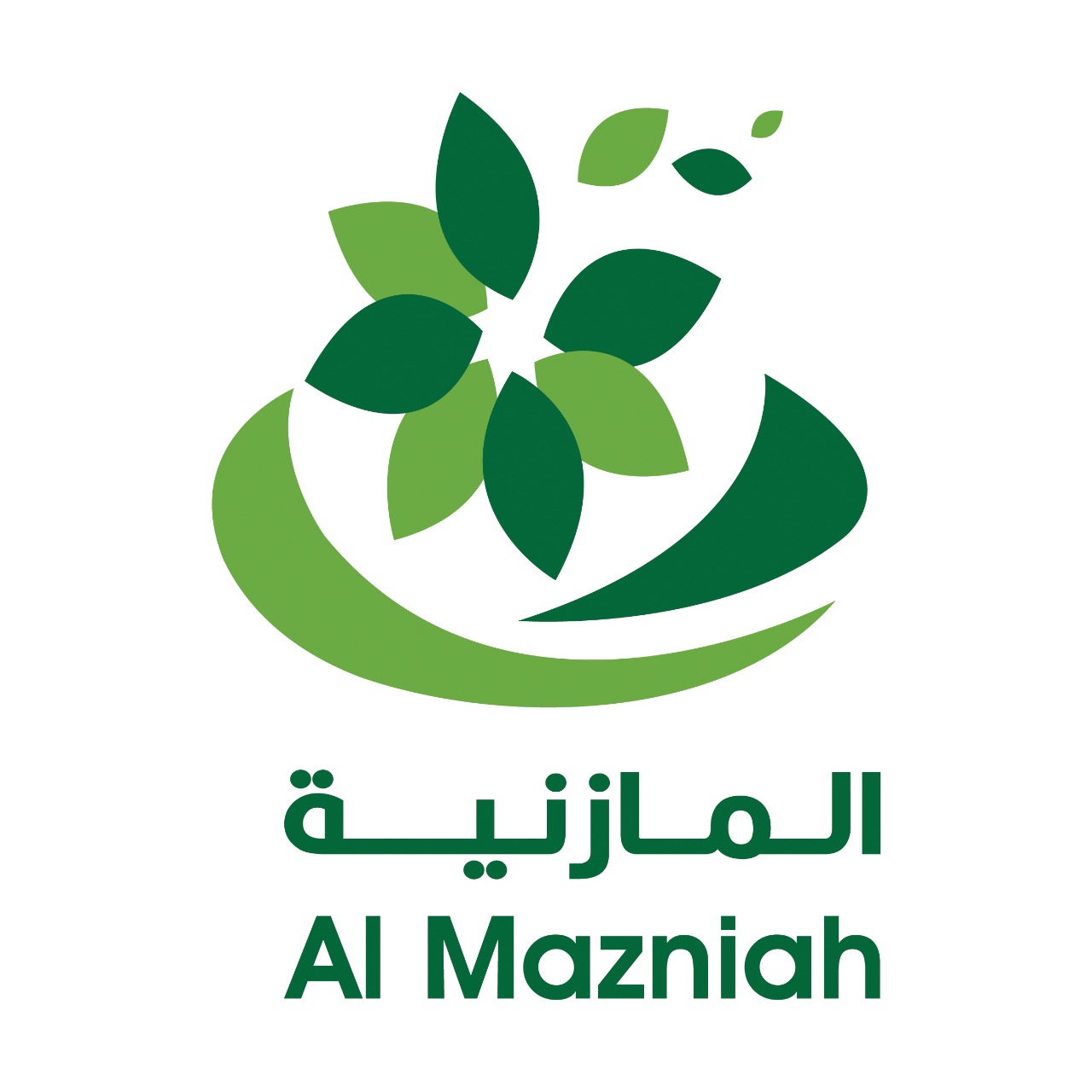 almaziniah.com