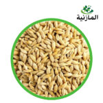 شعيروطني.jpg