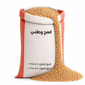 قمح وطني