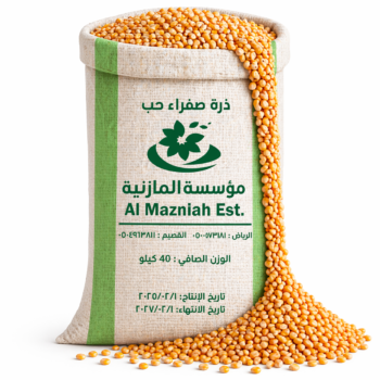 ذرة صفراء حب