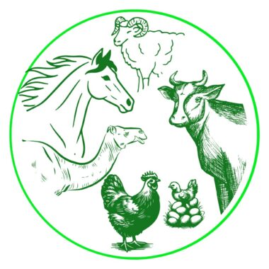 اعلاف الطيور والمواشى