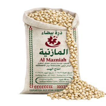 ذرة بيضاء