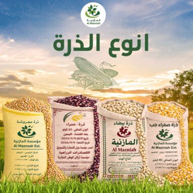 عن شركة المازنية