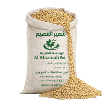 شعير القصيم