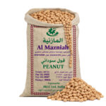 فول سوداني