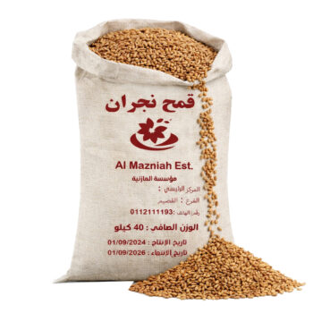 قمح نجران