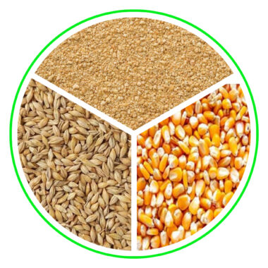 المواد الخام